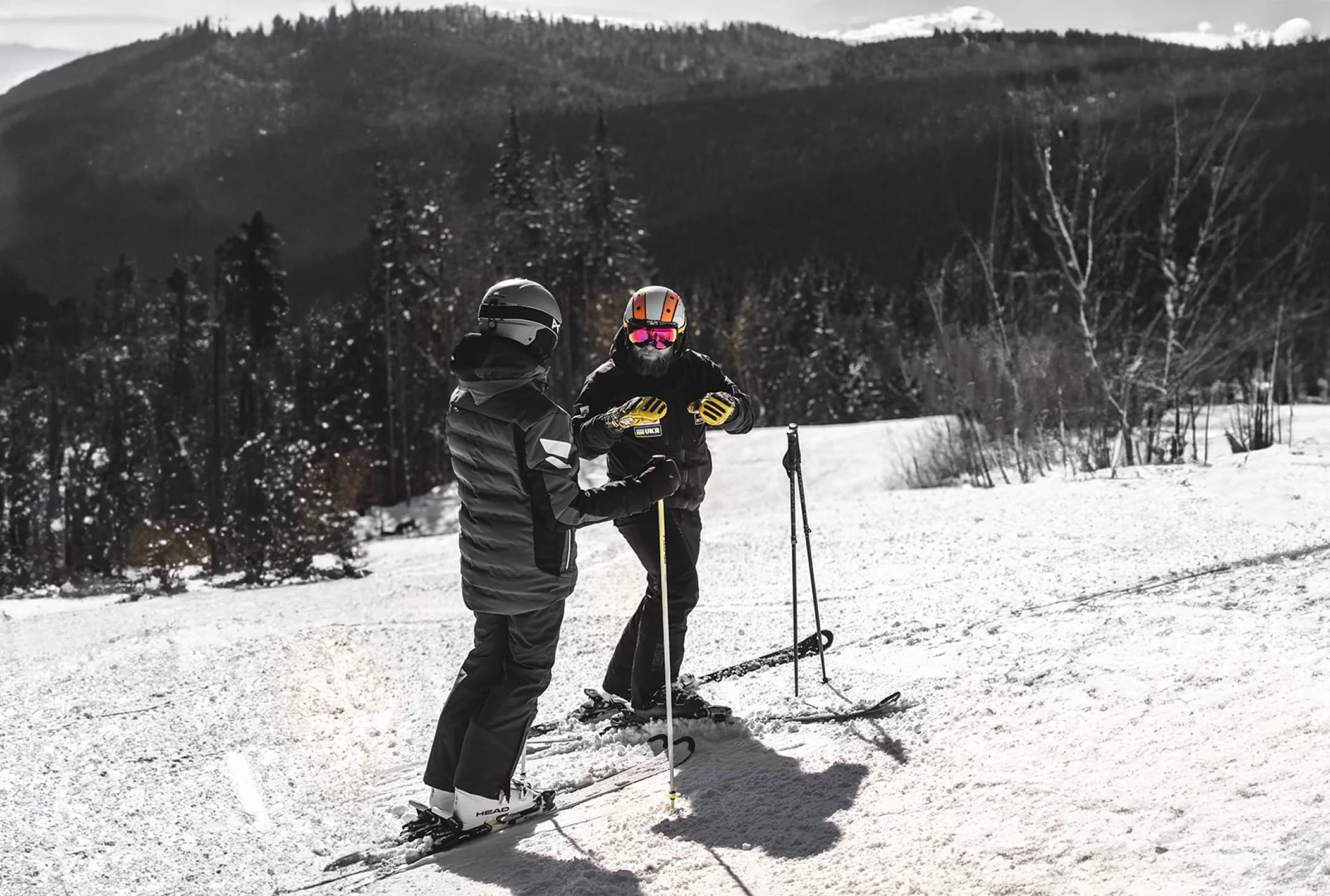 ski