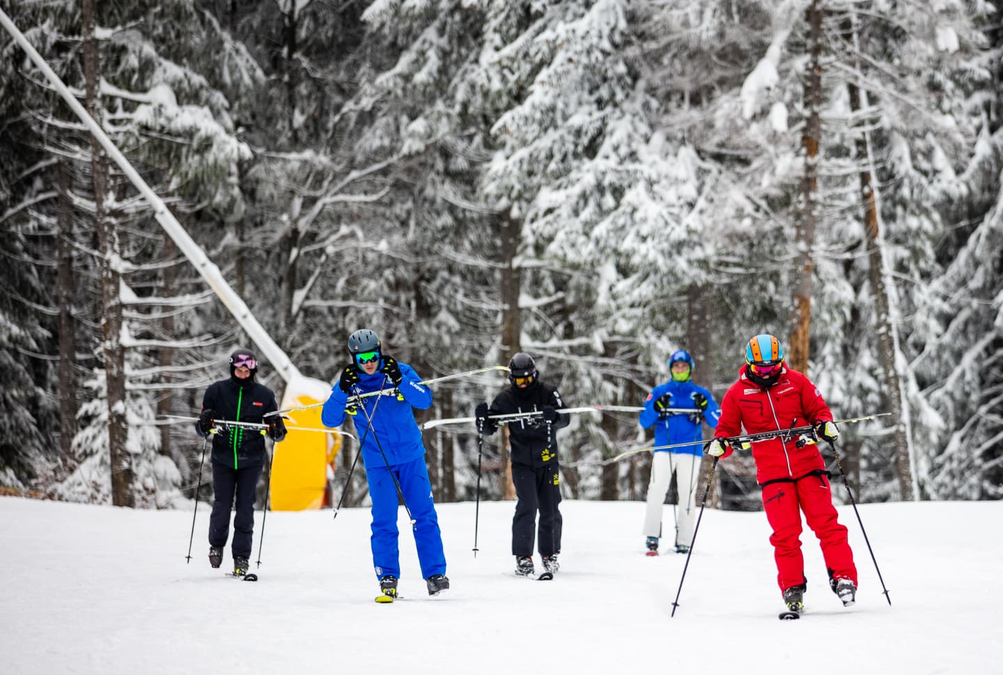 ski